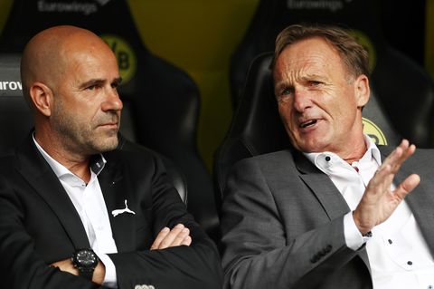 Peter Bosz und BVB-Boss Hans-Joachim Watzke