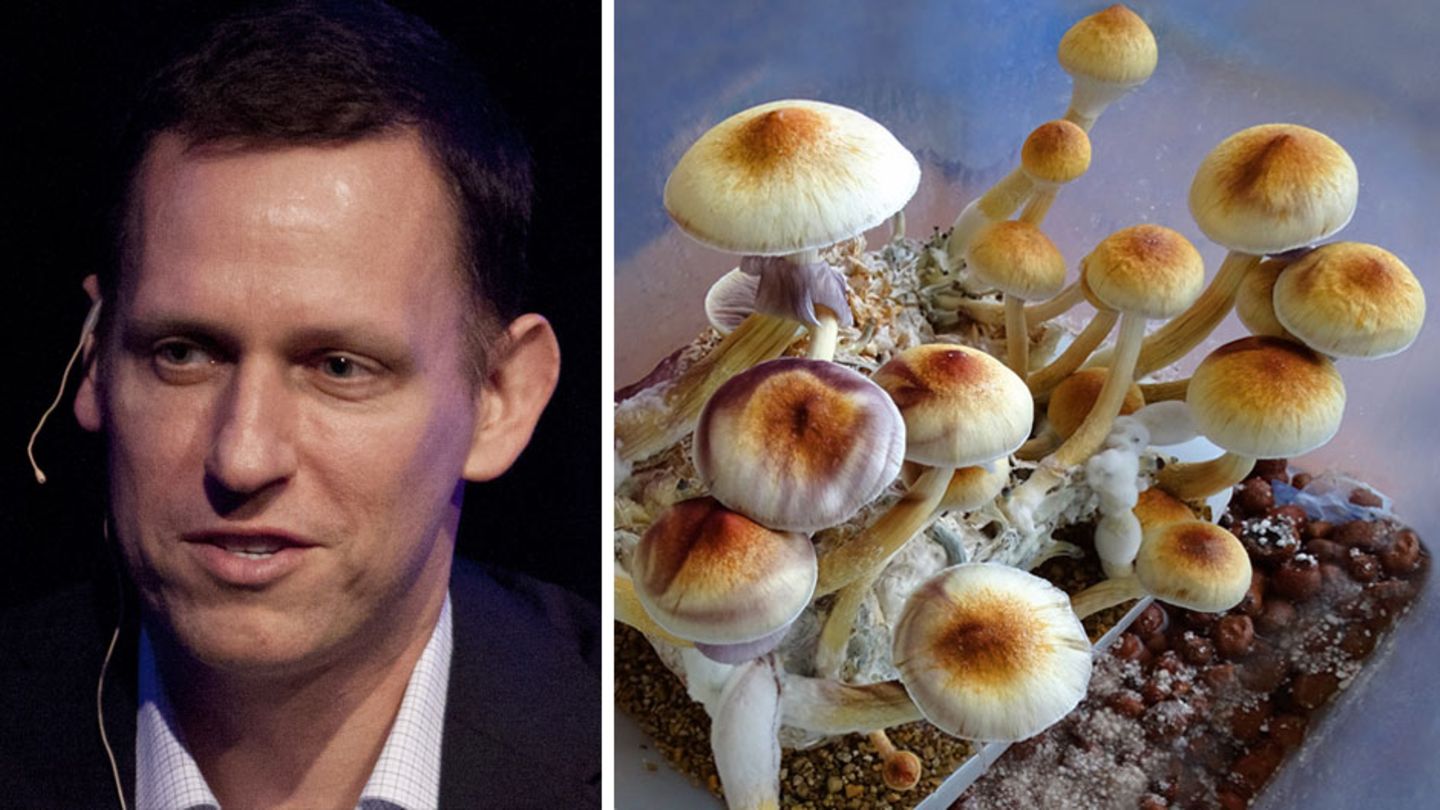 Peter Thiel und Magic Mushrooms