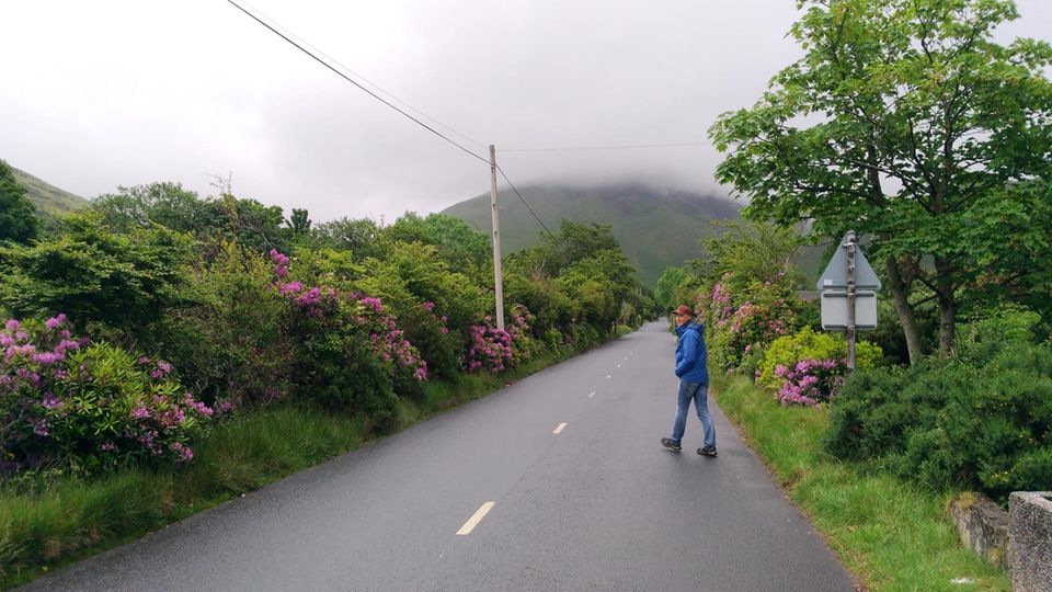 Isle of Arran Destillers: Das ist die "Hauptstraße" zur Whisky-Destille auf Arran. Völlig verschlafen und von Grund auf entschleunigt schmiegen sich die Gebäude am Ende der Straße ins kleine Tal. Das ist die "Hauptstraße" zur Whisky-Destille auf Arran. Völlig verschlafen und von Grund auf entschleunigt schmiegen sich die Gebäude am Ende der Straße ins kleine Tal.