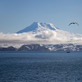 Jan Mayen