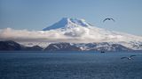 Jan Mayen
