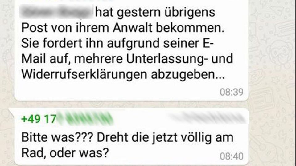 Von Sayn-Wittgenstein: "Heil, meine Führerin!" – WhatsApp-Gruppe zeigt, wie zerrissen die AfD ist