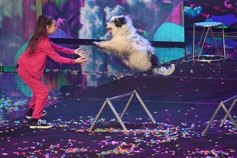 Alexa Lauenburger während ihrer Hundeshow beim Supertalent 2017