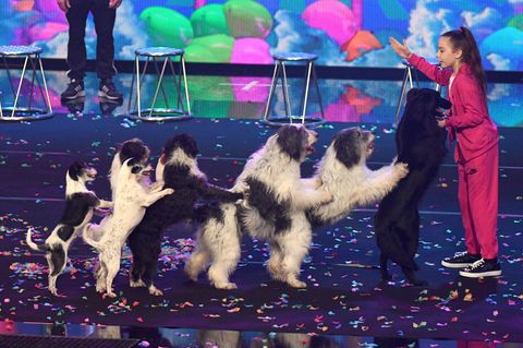 Alexa Lauenburger während ihrer Hundedressur-Show