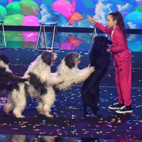 "Das Supertalent": Alexa Lauenburger und ihr Rudel