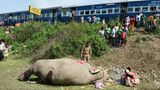 Mai  Shiliguri, Indien. Traurig blicken Zugpassagiere und Forstleute auf einen toten Elefanten nahe der indischen Stadt Shiliguri. Das Tier war über die Gleise einer Eisenbahnlinie gelaufen und dabei von einem Zug erfasst worden. Das Gebiet, in dem sich der tragische Zusammenstoß ereignete, ist auch als "Elefanten Korridor" bekannt.