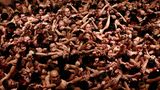 Februar    Okayama, Japan. Gläubige Buddhisten drängen sich im Saidaiji-Tempel. Bei eisigen Temperaturen hoffen sie nackt darauf, eines der Stäbchen zu ergattern, das ein Priester beim "Hadaka Matsuri"-Fest wirft. Wer es fängt, darf sich auf viel Glück hoffen.
