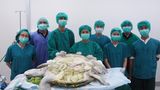 März    Bangkok, Thailand. Tierärzte und Schwestern stehen hinter einer 59 Kilogramm schweren Schildkröte. Ihr wurden bei einer sechsstündigen Operation 915 Münzen entfernt, die sie geschluckt hatte.
