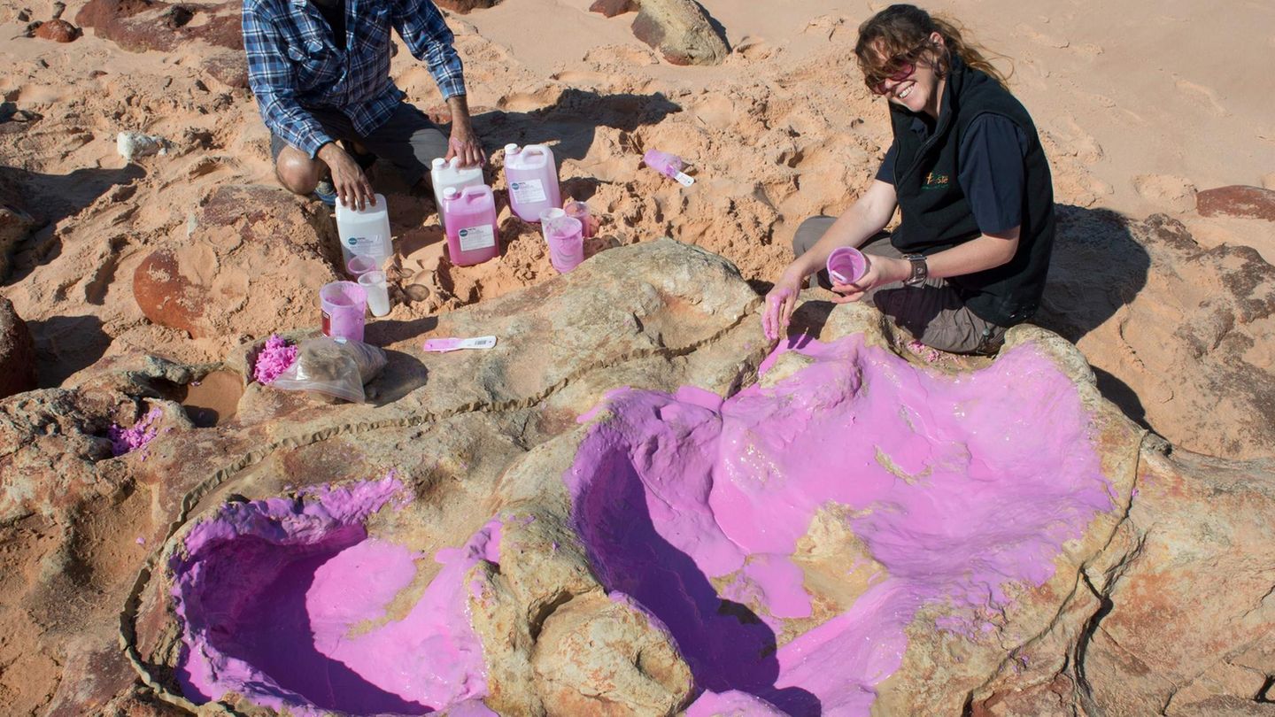 Bilder des Jahres: März Dampier Peninsula, Australien. Das gab es noch nie: Im Westen Australiens fanden Forscher Spuren von gleich 21 verschiedenen Arten von Dinosauriern, mehr als 70 Millionen Jahre später. Die Wissenschaftler Linda Pollard und Anthony Romilio sind begeistert und schwer beschäftigt. März Dampier Peninsula, Australien. Das gab es noch nie: Im Westen Australiens fanden Forscher Spuren von gleich 21 verschiedenen Arten von Dinosauriern, mehr als 70 Millionen Jahre später. Die Wissenschaftler Linda Pollard und Anthony Romilio sind begeistert und schwer beschäftigt.