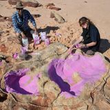 März    Dampier Peninsula, Australien. Das gab es noch nie: Im Westen Australiens fanden Forscher Spuren von gleich 21 verschiedenen Arten von Dinosauriern, mehr als 70 Millionen Jahre später. Die Wissenschaftler Linda Pollard und Anthony Romilio sind begeistert und schwer beschäftigt.