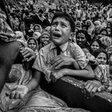 Dritter Preis: Pure Verzweiflung