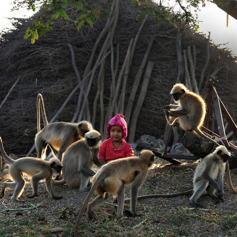 Ein kleiner Junge in Indien sitzt umringt von Affen auf dem Boden