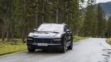 Fahrdynamiker: Porsche Cayenne Turbo