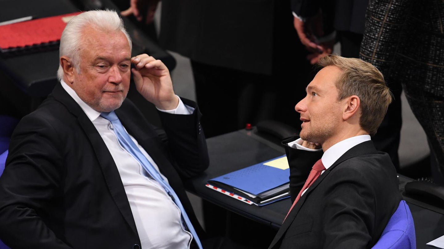 Wolfgang Kubicki und Christian Lindner