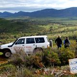Nur nach regenreichen Wintermonaten: So grün gibt sich dieser Teil des Flinders Ranges National Park selten. Das Areal des Schafzuchtbetriebs Rawnsley Park umfasst 120 Quadratkilometer.