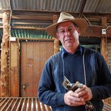 Mit seinem alten Schermesser in der Hand: Der Schafsfarmer Tony Smith lebt bewusst in der Einsamkeit, keiner seiner Nachbarn hat sein Haus in Sichtweite gebaut. "Hier gibt es kaum Menschen. Ich liebe dieses Land und die Landschaft."