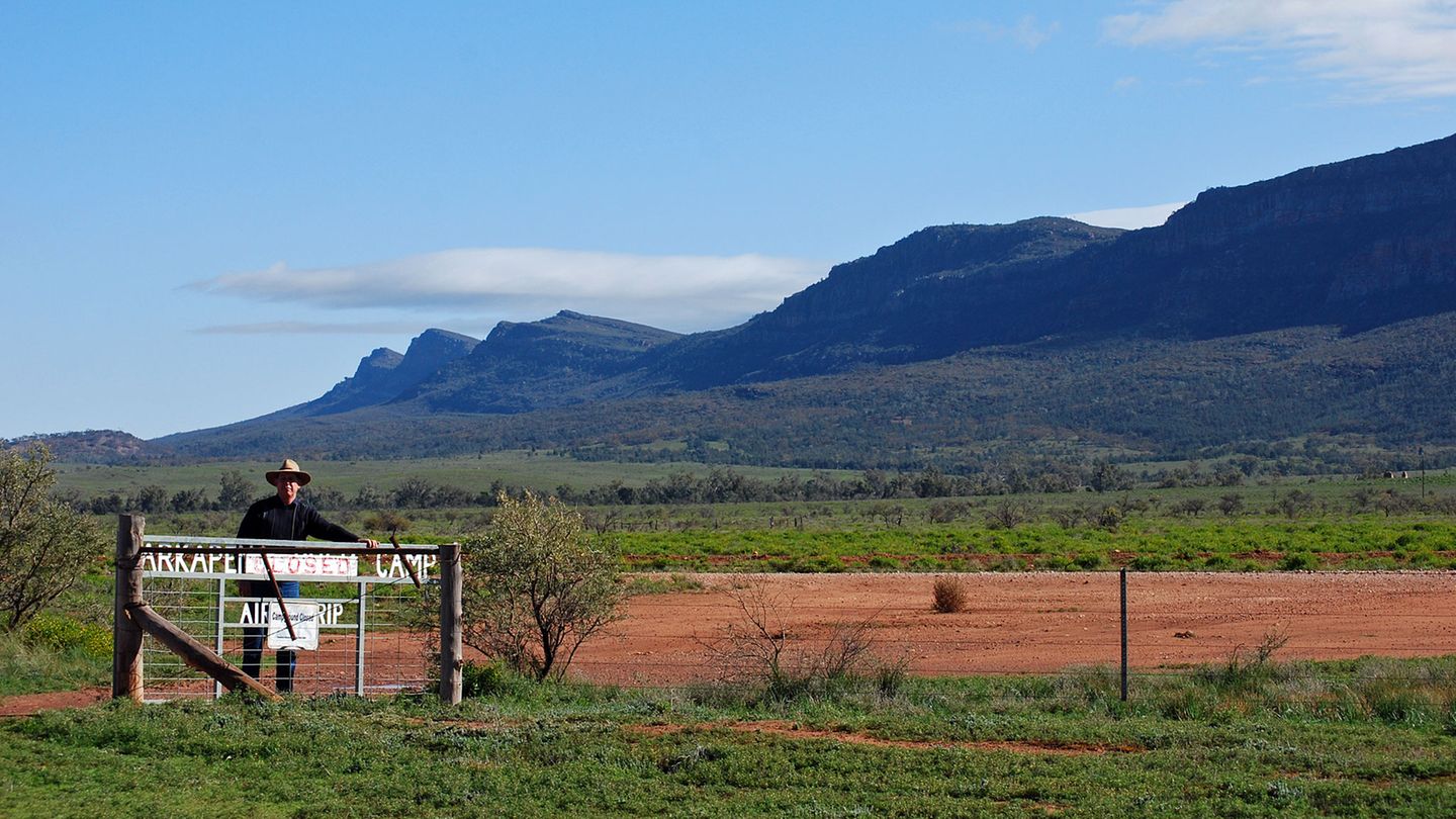 Vorhang auf für das Naturspektakel: Zerklüftete Bergketten und tiefe Schluchten prägen den 1000 Quadratkilometer großen Nationalpark. Im Hintergrund ragt der Rand des Wilpena Pound in den Himmel, die Hauptattraktion im Park.