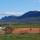 Vorhang auf für das Naturspektakel: Zerklüftete Bergketten und tiefe Schluchten prägen den 1000 Quadratkilometer großen Nationalpark. Im Hintergrund ragt der Rand des Wilpena Pound in den Himmel, die Hauptattraktion im Park.