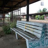 Hier ist die Natur auf dem Vormarsch: Der Bahnhof Potsdam-Pirschheide nannte sich einst Potsdamer Hauptbahnhof, wo sich auch noch heute zwei Bahnstrecken im Süden der Landeshauptstadt Brandenburgs kreuzen.