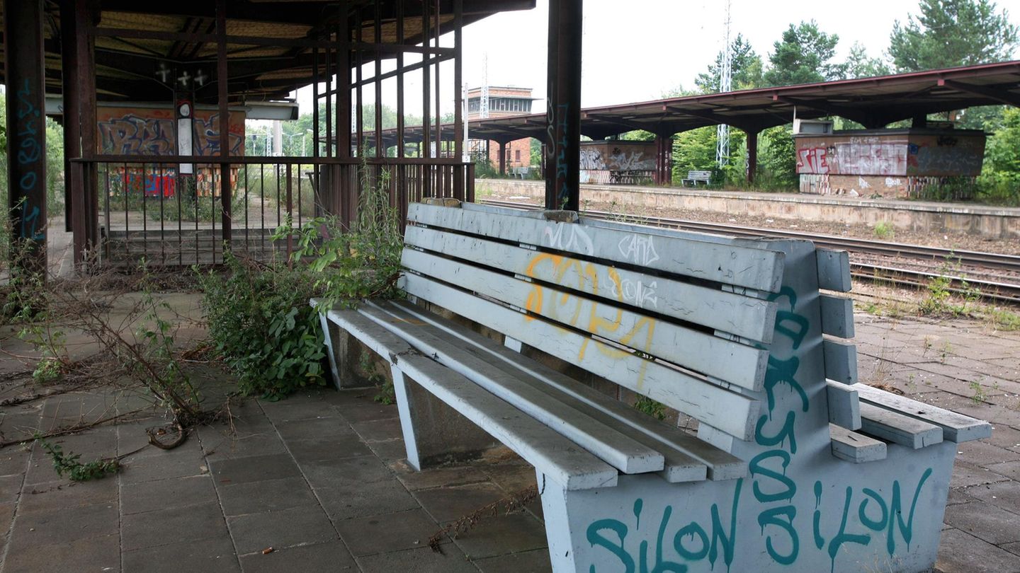 Hier ist die Natur auf dem Vormarsch: Der Bahnhof Potsdam-Pirschheide nannte sich einst Potsdamer Hauptbahnhof, wo sich auch noch heute zwei Bahnstrecken im Süden der Landeshauptstadt Brandenburgs kreuzen.