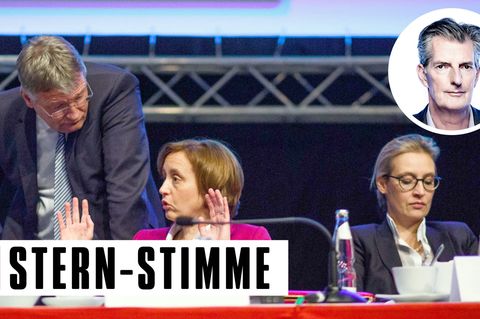 AfD-Politiker Jörg Meuthen, Beatrix von Storch (m.) und Alice Weidel