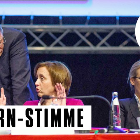 AfD-Politiker Jörg Meuthen, Beatrix von Storch (m.) und Alice Weidel