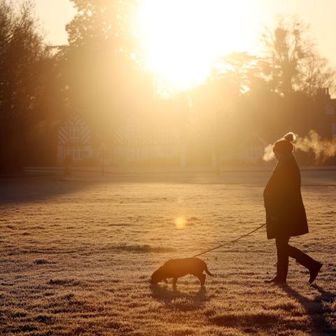 Eine Frau läuft mit ihrem Hund an der Leine über eine mit Raureif überzogene Wiese. Hinter ihr steht niedrig die Wintersonne