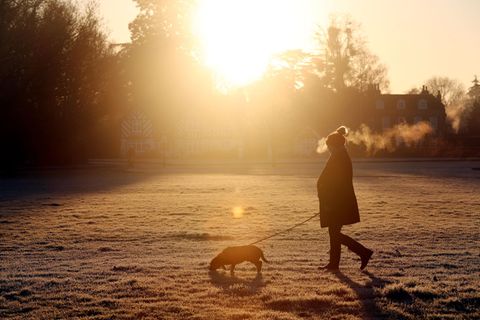 Eine Frau läuft mit ihrem Hund an der Leine über eine mit Raureif überzogene Wiese. Hinter ihr steht niedrig die Wintersonne