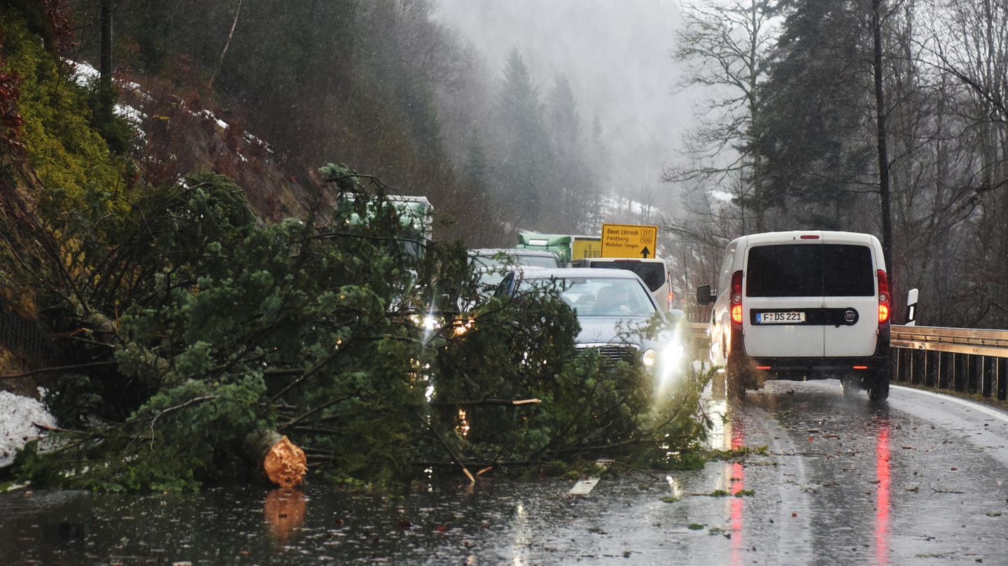 Ein durch Sturmtief "Burglind" umgeknickter Baum blockiert eine Bundesstraße