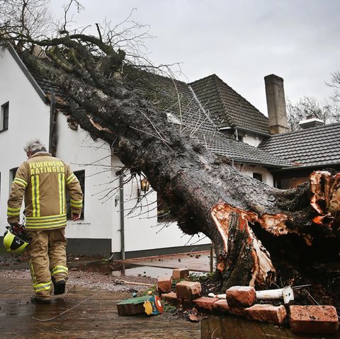 Ein Baum liegt in Ratingen auf einem Haus. Sturmtief "Burglind" ist teilweise mit Orkanstärke über NRW hinweg gezogen.
