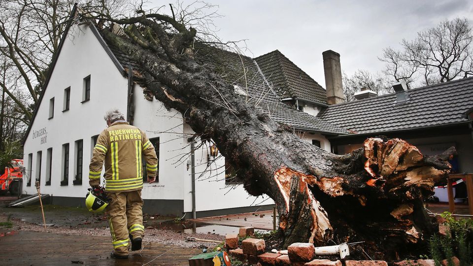 Ein Baum liegt in Ratingen auf einem Haus. Sturmtief "Burglind" ist teilweise mit Orkanstärke über NRW hinweg gezogen.