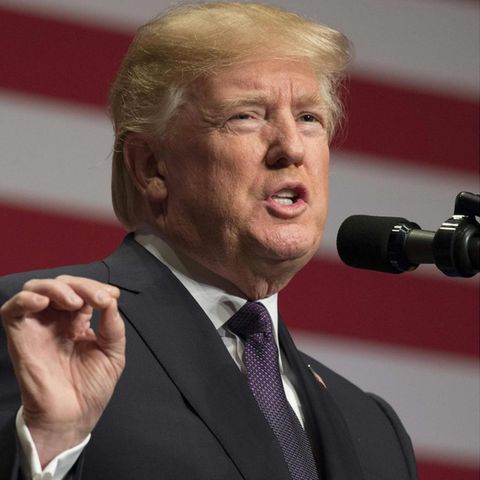 "Er hat seinen Verstand verloren": Donald Trumps beißende Abrechnung mit Steve Bannon