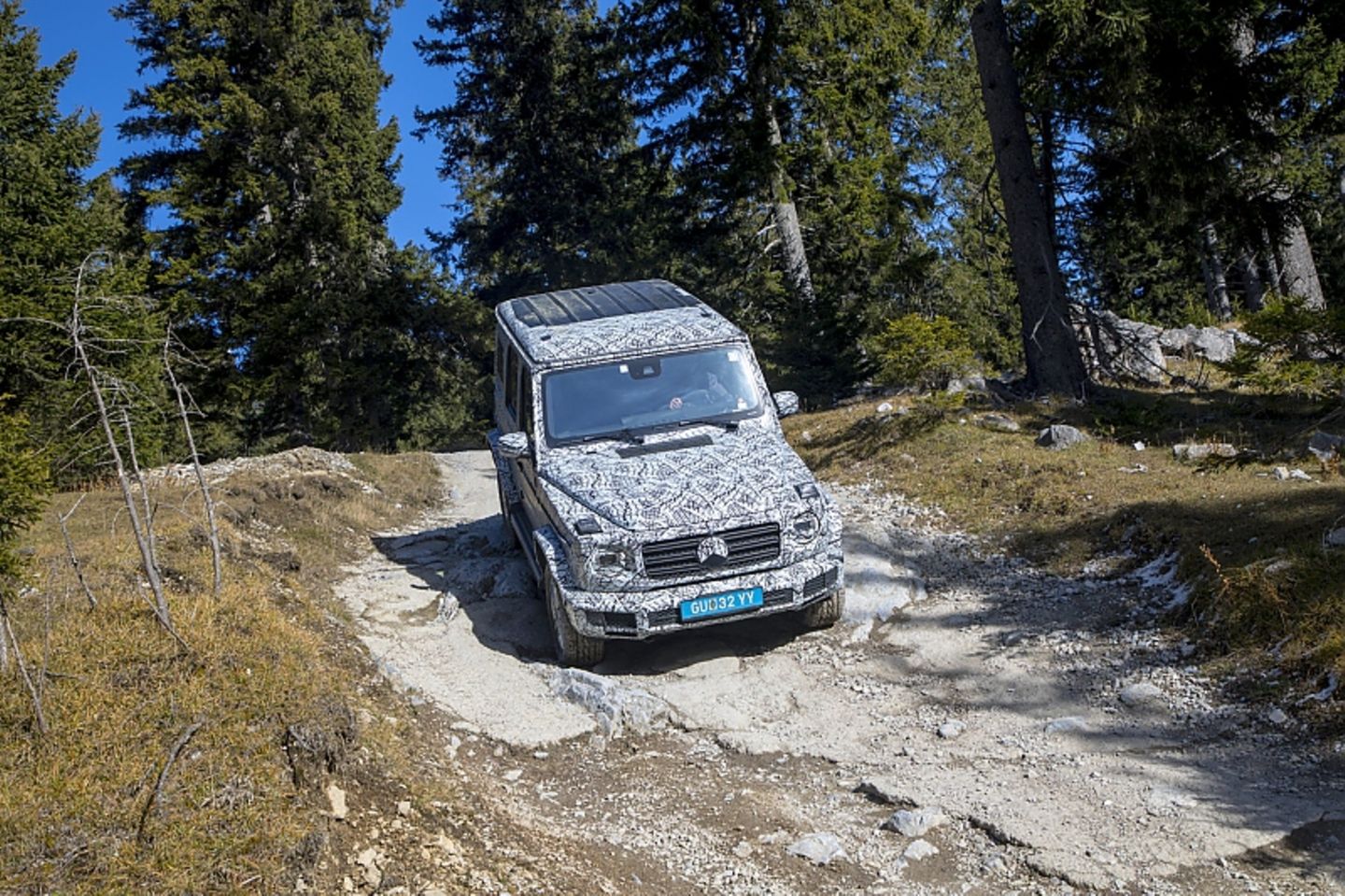 Mercedes G-Klasse 2018