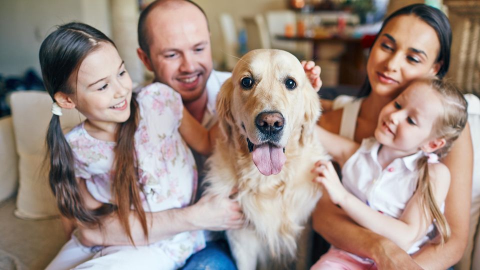 Ein Hund bereichert die Familie emotional, aber das Budget belastet er. 