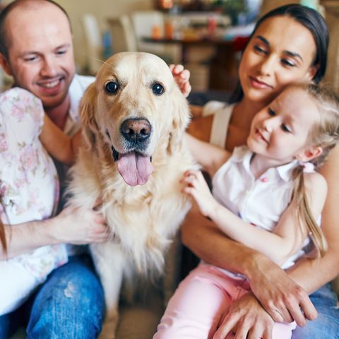 Ein Hund bereichert die Familie emotional, aber das Budget belastet er. 