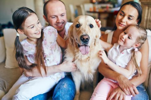 Ein Hund bereichert die Familie emotional, aber das Budget belastet er. 