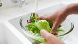 Salat: Waschen oder nicht? Ja, bitte!  Die Blätter in stehendem Wasser kurz schwenken, dann abtropfen lassen. Laufendes Wasser spült Vitamin C aus.