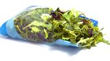 Fresh-Cut-Salate: Waschen oder nicht? Unbedingt!  In Fertigsalaten stecken wenige Vitamine, dafür umso mehr krankmachende Mikroben. Personen mit geschwächter Immunabwehr sollten auf solche Salate verzichten, Gesunde sollten sie gründlich waschen und lieber nicht so häufig essen. 