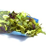 Fresh-Cut-Salate: Waschen oder nicht? Unbedingt!  In Fertigsalaten stecken wenige Vitamine, dafür umso mehr krankmachende Mikroben. Personen mit geschwächter Immunabwehr sollten auf solche Salate verzichten, Gesunde sollten sie gründlich waschen und lieber nicht so häufig essen. 