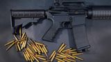 Alle Waffen im AR-15-Stil nutzen ein mittleres Kaliber.