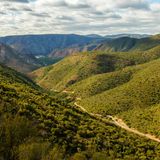 Baviaanskloof  In den einsamen Baviaanskloof-Bergen findet sich auf kleiner Fläche fast die gesamte Flora des Landes: Savanne, Wald, Grasland, Fynbos. Eine Tageswanderung, für die man sich anmelden muss, führt zu den Cedar Falls. Die einsamen Wege kreuzen hin und wieder auch Paviane und Springböcke. Wer mehr Zeit hat, begibt sich auf den mehrtägigen "Leopard Trail". Achtung: Die großen Feuer Ende 2016 haben viel Vegetation zerstört, die Pflanzen erholen sich aber ziemlich schnell.  Infos: Straße von Uniondale bis Patensie, Touren (inklusive Gepäcktransport) unter www.gobaviaans.co.za
