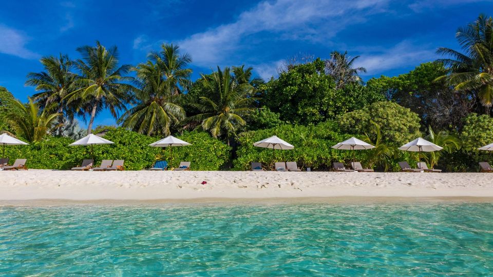 Sie nennen ihn "König": Dieser Mann lebt seit 22 Jahren in einem Schloss am Meer - und zahlt keinen Cent dafür Sie nennen ihn "König": Dieser Mann lebt seit 22 Jahren in einem Schloss am Meer - und zahlt keinen Cent dafür