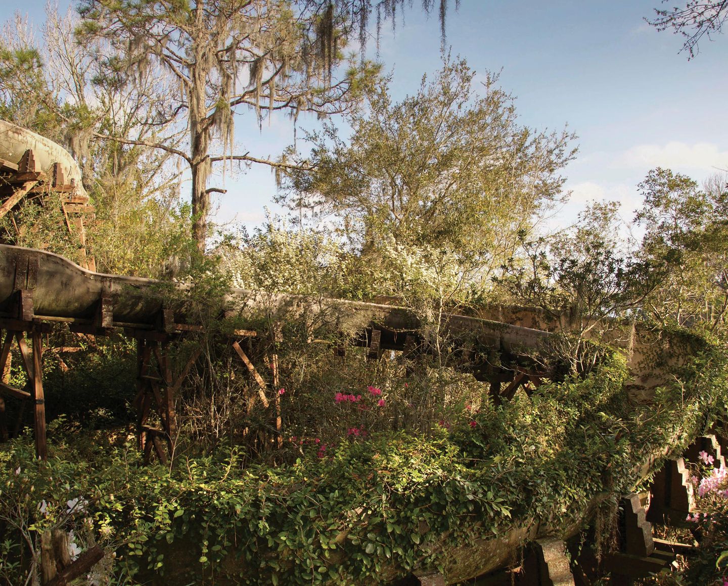 World Disney World  Im "happiest place on earth", so die Disney-Eigenwerbung, gibt es zwei Ecken, die in Vergessenheit geraten sind. In dem riesigen Freizeitpark bei Orlando holt sich in dem um die Jahrtausendwende aufgegebenen "River Country" die Natur diese Wasserrutsche zurück.