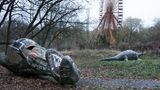 Spreepark  Dinosaurier am Boden: Dieses Szenario fand Seph Lawless in Berlin vor, als er auf dem Gelände des ehemaligen DDR-Parks im Norden des Plänterwaldes stromerte, bis ihn die Polizei herauskomplimentierte.