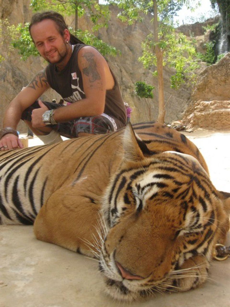 Michael Berndt in einem thailändischen Mönchstempel mit einem dösenden Tiger