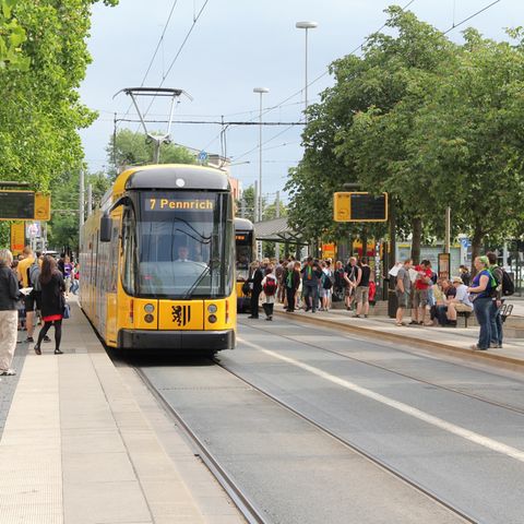 Eine Straßenbahn der Linie 7 an einer Haltestelle in Dresden