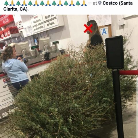 Frau versucht Weihnachtsbaum an der Kasse zurückzugeben