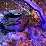 Den Kleinwagen hat es erwischt.