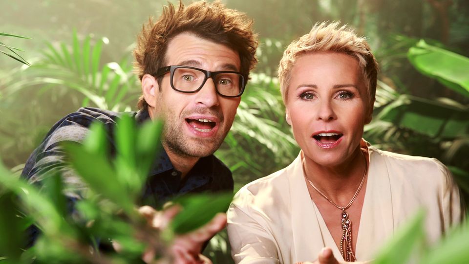 Beliebte TV-Show: Maden, Promis, Moderatoren: Das sind die Highlights aus 11 Staffeln Dschungelcamp Beliebte TV-Show: Maden, Promis, Moderatoren: Das sind die Highlights aus 11 Staffeln Dschungelcamp