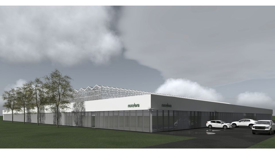 Modell eines Nuuvera-Greenhouse: Die Pflanzen wachsen unter kontrollierten Bedingungen im Gewächshaus